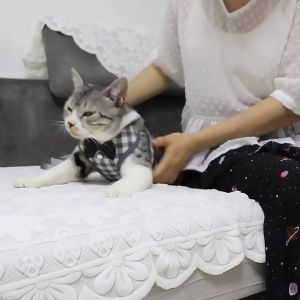 Harness Baju Kucing Tali Kucing Kelinci Rompi Anjing Hewan Peliharaan Babi Penyesuaian lucu Busur