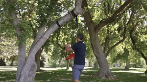 Kids Swing Flying Toy Garden Swing Kids Hanging Seat Toys with Height Adjustable Ropes Indoor Outdoor Toys Rainbow Curved Board