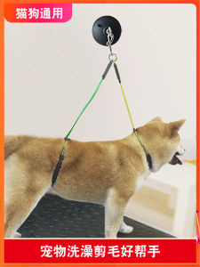 Pet Bathing Fixed Device: A Comprehensive Guide