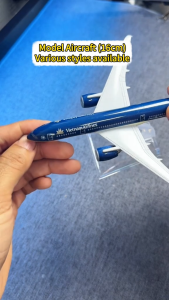 Airlines Diecast Model Aircraft Metal Alloy Airplane Miniatures 16cm