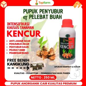 Pupuk Kencur / Pupuk Kencur Cair / Pupuk Tanaman Kencur / Pupuk Pelebat Buah Kencur / Pupuk Buat Tanaman Kencur / Obat Hama Kencur / Obat Tanaman Kencur