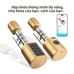 Khóa Thông Minh Viladepot Với Chức Năng Nhận Dạng Vân Tay Giao Diện TYPE-C Điều Khiển Bằng Ứng Dụng Mật Mã & Thẻ ID Khóa Cửa Trong Nhà Cho Cửa Thép Gỗ Kính