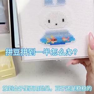 Dustproof Anti-spill Transparent Storage Container for Unfinished Pins