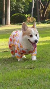 Summer Pet Dog Mesh Jumpsuit Breathable Super Thin Small Dog Cat Clothes Summer Cooling Vest Puppy Chihuahua Kitten Pet Clothes