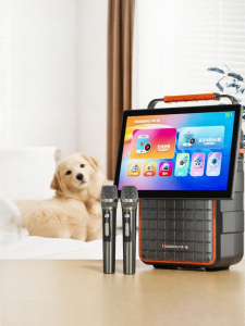 HUABAO | Bluetooth Microphone and Speaker Integrated Karaoke System