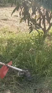 ใบมีด ตัดหญ้า ตัดรอบโคน ปลอดภัย ไม่ต้องกลัวโดนต้นไม้ ท่อน้ำ แบบ 3 แฉก ความยาว 10 นิ้ว M