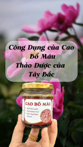Cao Bổ Máu - Trà Thảo Dược Tây Bắc (Lọ 100ml)
