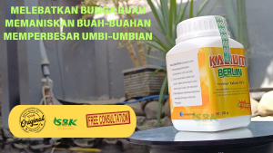 Pupuk kalium tinggi boster tanaman pupuk pelebat buah Pemanis pembesar Umbi Buah K Berlin 500 gr