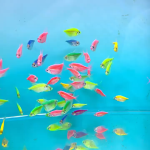 20PCS Fish For Tank Divider Clip Aquarium Plastic Divider Clip Suction Cup Breeding Separation Divider Sheet