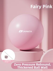 Jiaxun | Postpartum Recovery Core Stability Pilates Pelvic Floor Training Yoga Ball