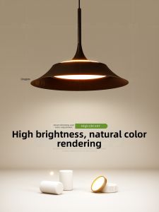 Creative Full Spectrum Pendant Light