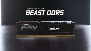 Kingston Fury Beast DDR5 16GB/32GB 16Gbit DRAM AMD EXPO Kit of 2 Gaming Desktop Memory Black