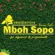 Mboh Sopo