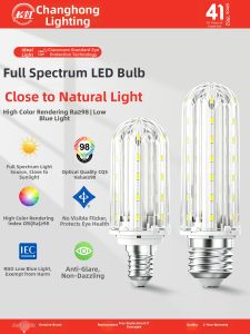 CHANGHONG | Color Changing LED Corn Light Bulb