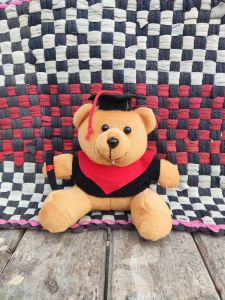 VIRALL Boneka bear wisuda boneka BUKET hiasan
