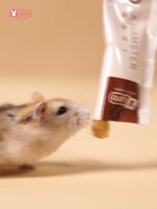 Sg Hamster Food 5g Wet Food Nutrition Bar Various Tastes Easy To Absorb