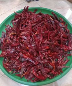 murah (1kg packing) cabe BESAR /CABE GEDE BUMBU PADANG KWALITAS SUPER