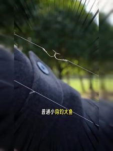 CHUANZE | Mồi Cá Chép Đôi Mạ Vàng 24k Chống Hư Hỏng