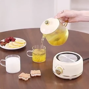 Ấm Đun Nước Đa Năng 600ml Ấm Đun Đa Chức Năng Nấu Trà Và Tổ Yến Ấm Pha Trà Sắc