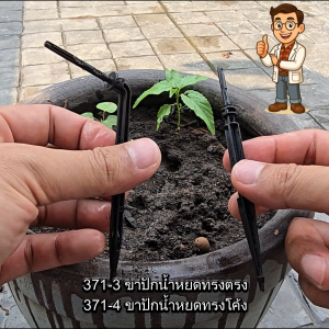 ขาปักน้ำหยด ไชโย 371-3371-4 (ตรง-โค้ง) สำหรับสาย 3/5 มม. – ติดตั้งง่าย น้ำหยดสม่ำเสมอ ทุกสวนต้องมี!