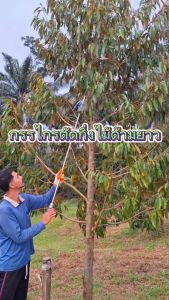 กรรไกรตัดกิ่ง กรรไกรตัดกิ่งไม้สูง กรรไกรตัดกิ่งไม้ด้ามยาว กรรไกรตัดต้นไม้ คมมาก ตัดง่าย เบาแรง กรรไกรตัดกิ่งไม้ 1.5เมตร กรรไกรตัดกิ่งไม้ ตัดแต่งกิ่ง