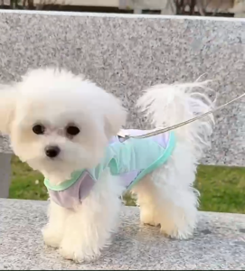 Pet Pastel Mesh Soft Breathable Harness Shirt with Leash Hook For Dogs and Cats