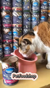 Pate Cho Mèo Snappy Tom Real Fish Lon 400g