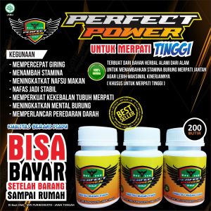 Jamu Merpati Perfect Power isi 100 butir