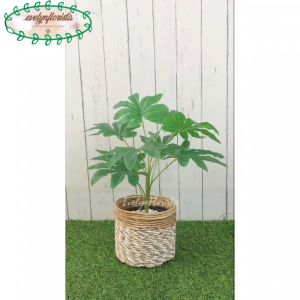 Pohon Artificial Daun Aralia Cover Pot Seagrass Coklat Mini Hiasan Meja Kantor Meja Cafe