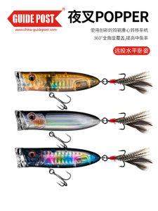 Guidepost Lure Hard Bait: A Comprehensive Guide for Bass & Catfish Fishing