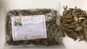 Lá Bồ Đề Khô 1Kg - Hàng Công Ty Uy Tín