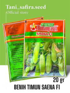 BENIH TIMUN SAENA f1 CAP BINTANG ASIA 20g anti virus