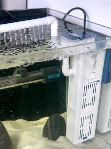 Sunsun | Water Purification & Circulation Filter with Built-in Aeration Pump for Small Aquariums