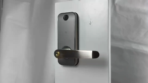LOOCK A10 Smart Door Lock w/ Fingerprint PIN Code RFID Card & Key Access