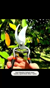 Gunting Taman Ranting Dahan Kebun Batang Pohon
