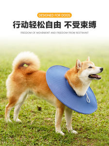Lightweight Breathable Elizabethan Collar for Dogs Post-Surgery Anti-Licking Sterilized Pet Supplies Dog Recovery Gear