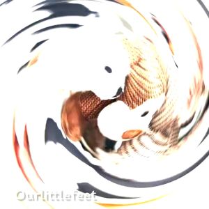 ตุ๊กตาสำหรับสัตว์เลี้ยงกัด ผ้าหนา ทนทาน