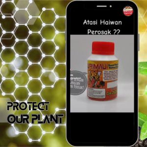 URIMAU Halau haiwan perosak monyet babi hutan tikus cecair terus guna 500ml (1unit)