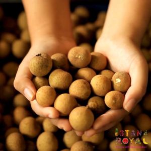 EXOTIC SWEET LONGAN IMPORTED THAILAND - PACK OF 1KG - ISTANA ROYAL FRUITS