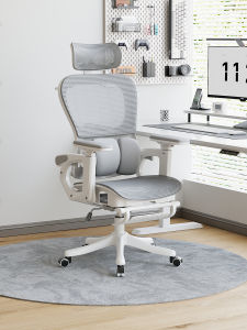 SAMEDREAM | Ergonomic Lumbar Support Office Chair
