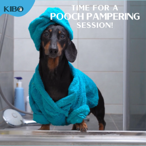 Kibo Furever Breezy Moisturizing Pet Shampoo Ocean Breeze 200ml anti bacterial anti viral long lasting scent