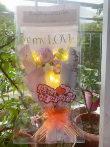 Mother’s Day Knitted Carnation Rose Bouquet with LED Light and Gift Bag