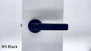 RAYKUBE M5 Tuya BLE Fingerprint Door Lock Digital Electronic Lock with Password/Key/IC Card/ Smartlife/ Tuya APP Unlock