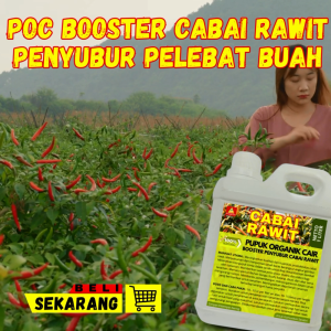 Pupuk Cabe Rawit Agar Berbuah Lebat 1 Liter / Pupuk Cabe Rawit Anti Rontok /Pupuk Cabe Cepat Berbuah