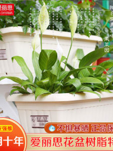 Irish Long Rectangle Iron Art Flower Pots & Balcony Guardrail Hanging Vegetable Planters