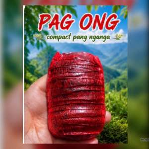 Pag Ong compact pang nganga chocolate flavor red wrapped