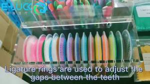 1 box Dental Orthodontic Power Chain Placer Organizer Elastic Ligature Tie Storage Box  Dispenser Placing Box Dentist Tool
