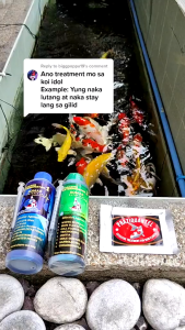 100ml Romak Solutions Aquarium Parasites Exterminator Safe Fish Anti Worms Treatment