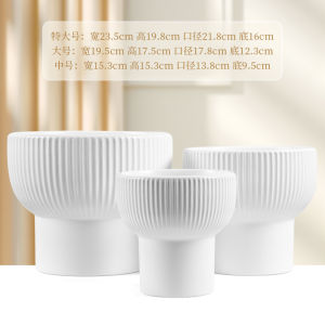 Simplified Ceramic Flower Pot for Houseplants Pothos Orchid Bird of Paradise Special Sale Green Plant Pots of Two Sizes