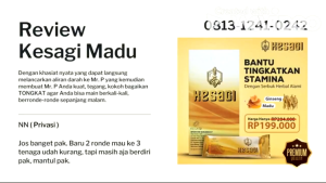 Kesagi Minuman Serbuk Madu 1Box 5 Sachet
